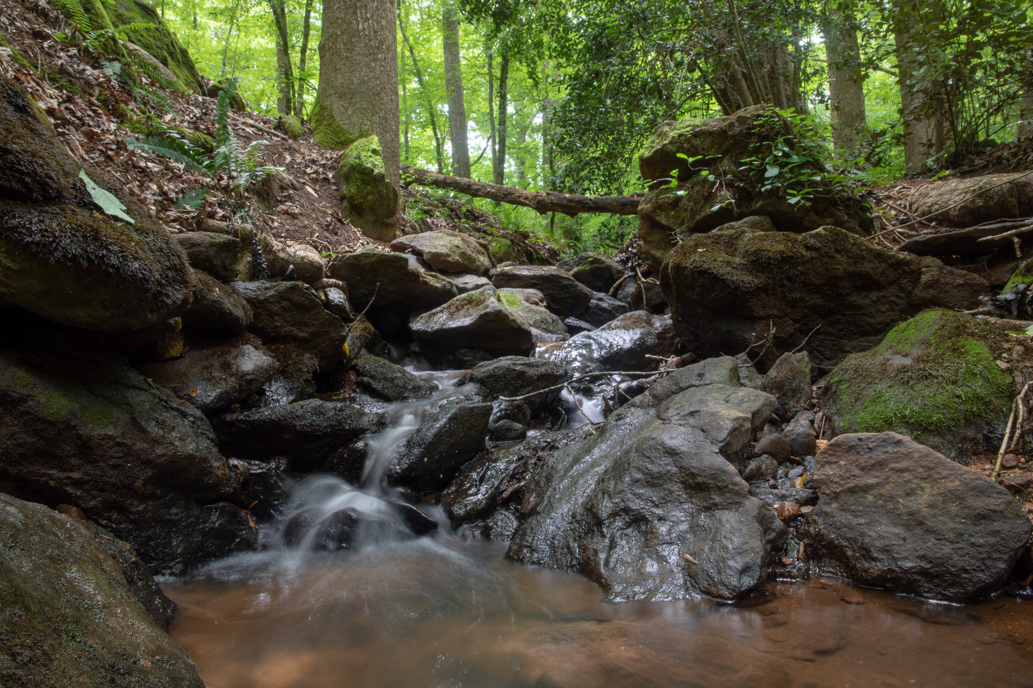 New Report Released: Stream Restoration as a Best Management Practice