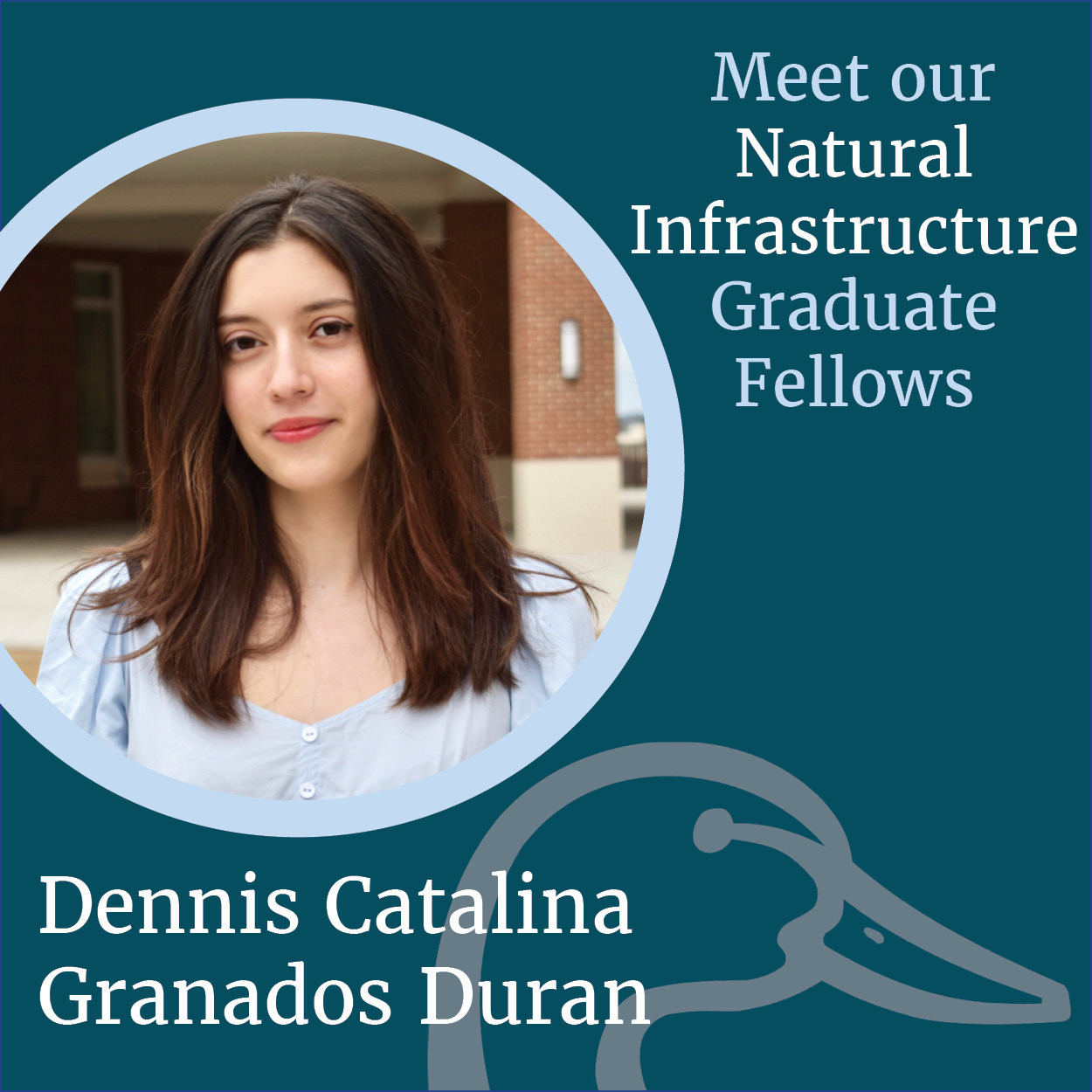 Natural Infrastructure Graduate Fellowship: Dennis Catalina