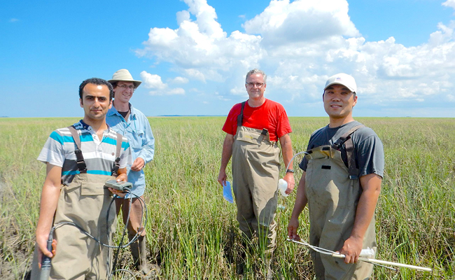 World Wetlands Day: IRIS Affiliates working in climate-regulating powerhouse ecosystems