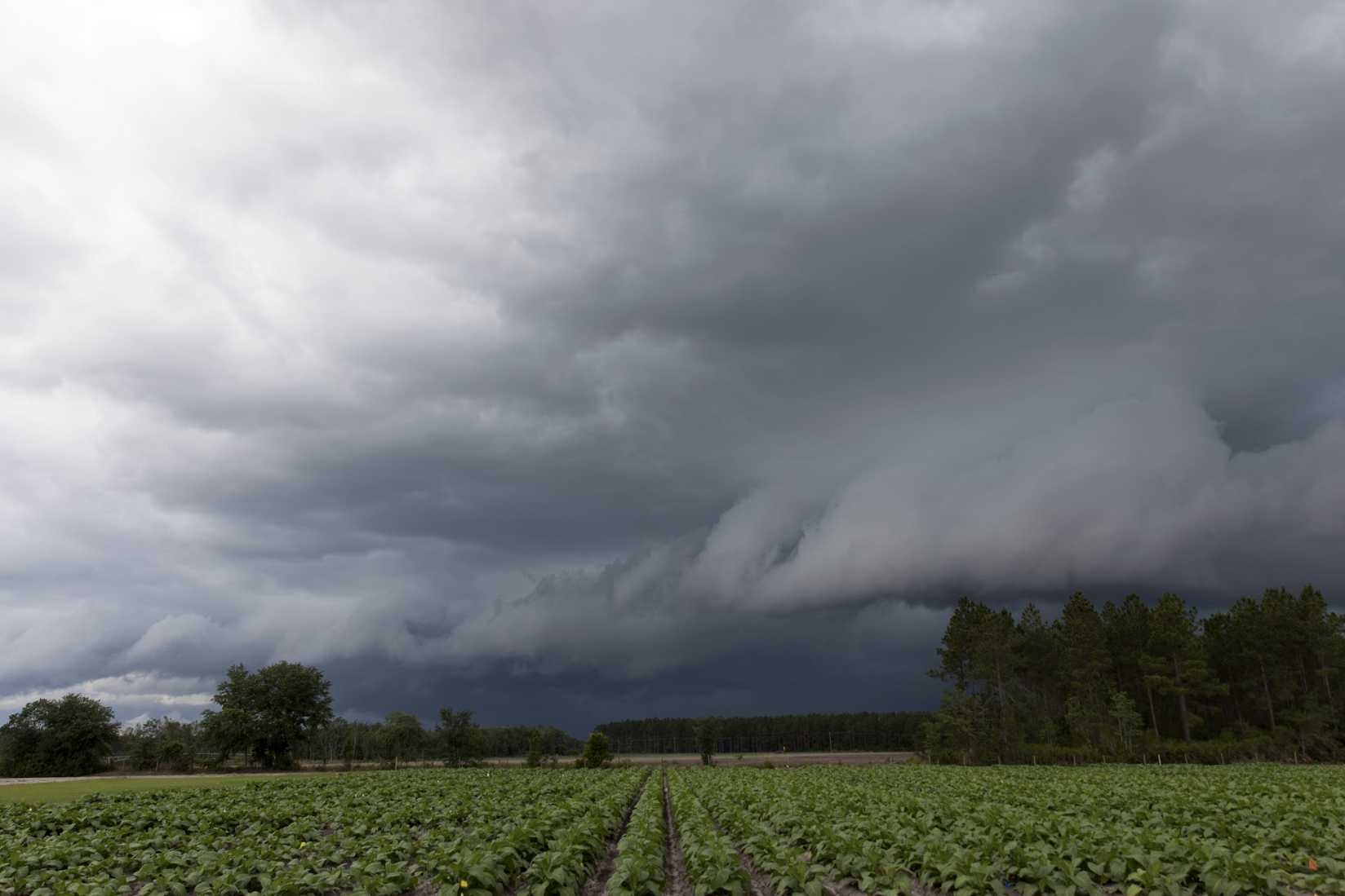 Reimagining insurance and climate resilience