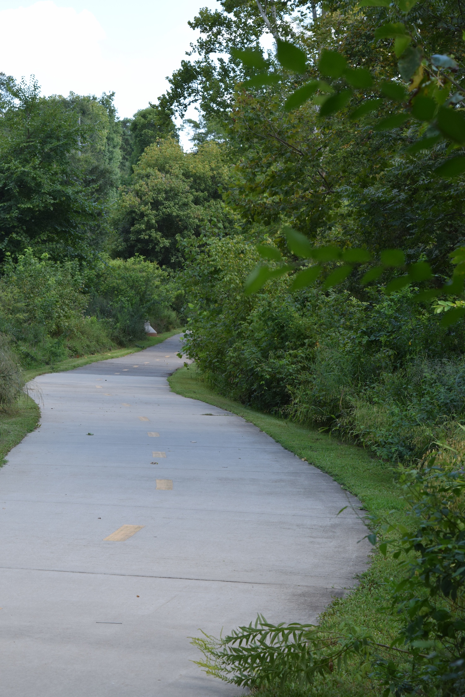 Nature-Based Approaches to Disaster Resilience Can Yield Big Returns in States