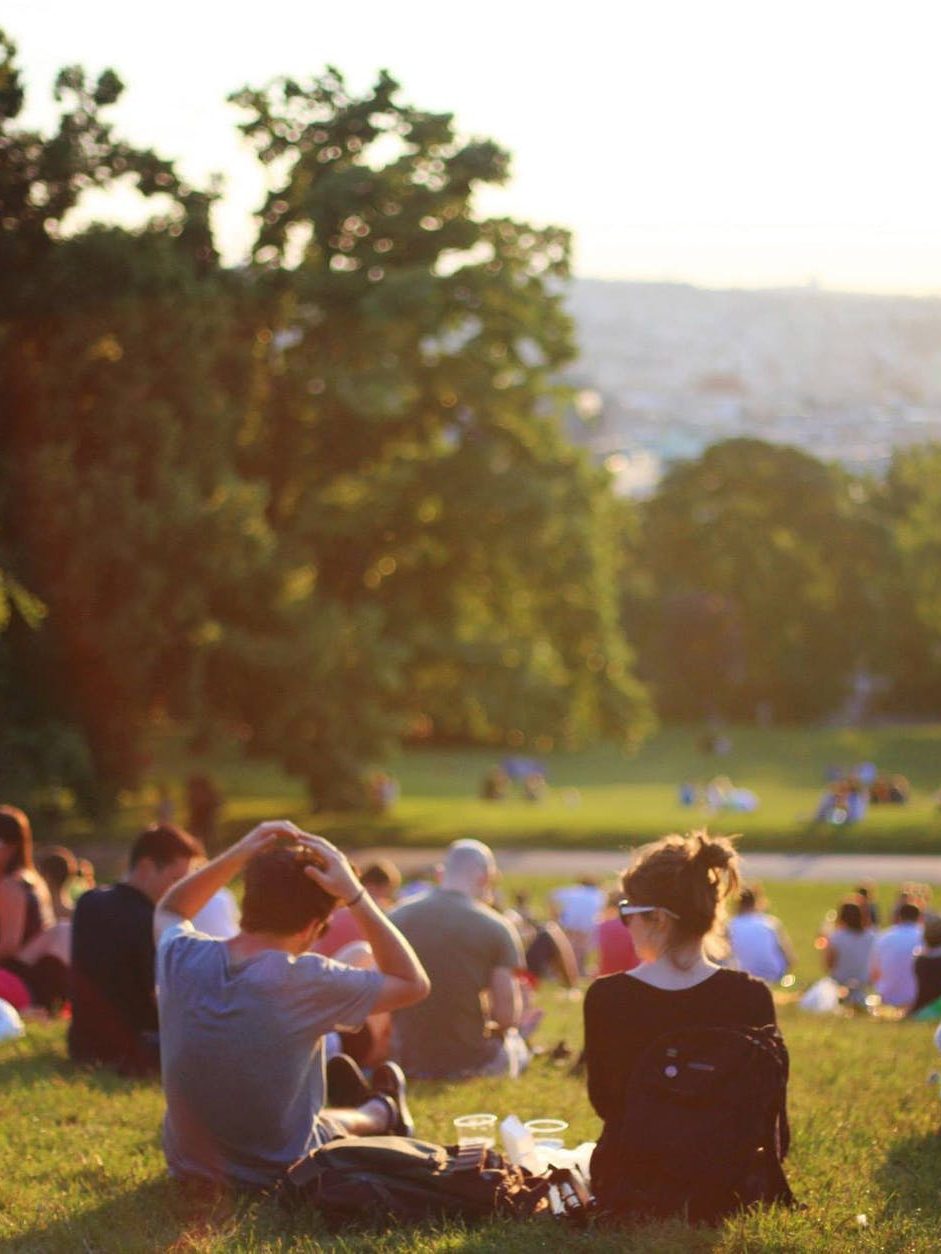 group of people enjoying music concert