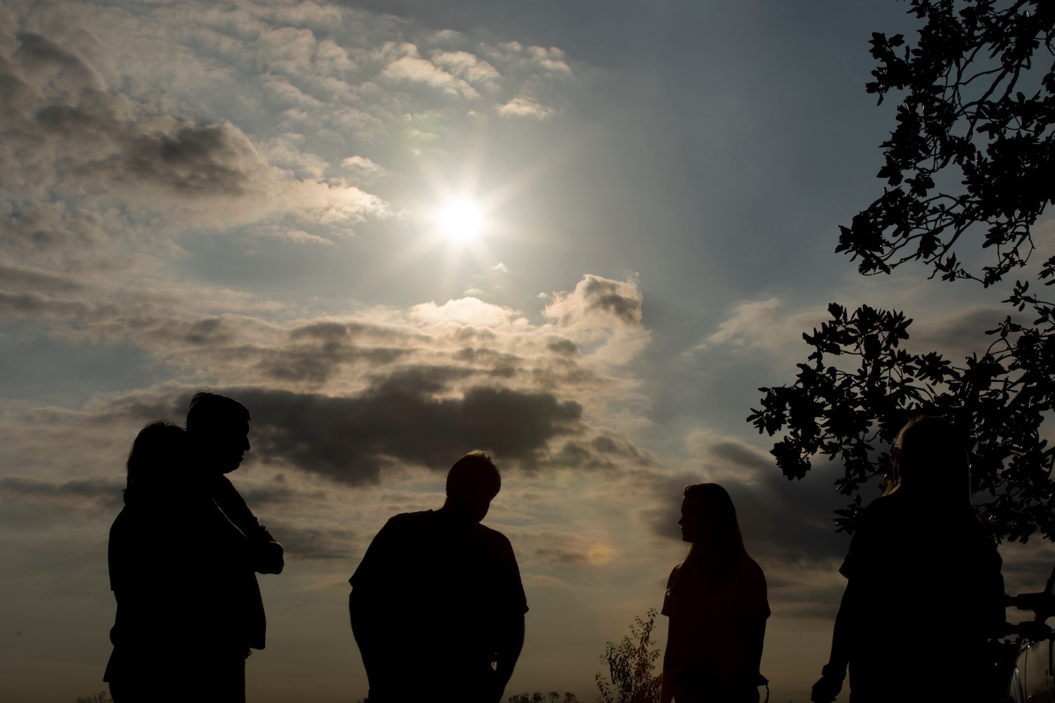 New paper provides framework for understanding oppression in the field of conservation