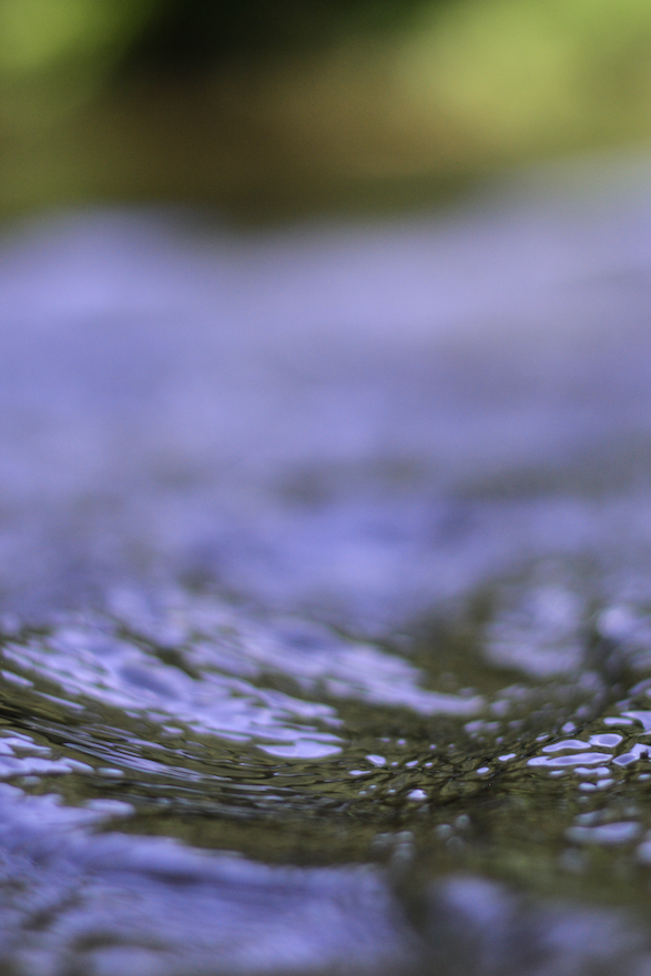 the surface of water flowing in front of a green background