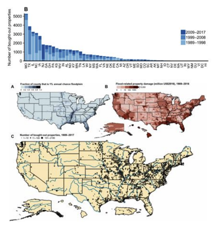 A set of figures show flood risk and voluntary property buyouts across the US. A blue bar graph shows number of buyout properties across states and years; a blue map of the US highlights counties in the 1% annual chance floodplain; a red map of the US shows flood related property damages, and a yellow map of the US with blue lines demarcating rivers shows black dots marking bought-out properties across the country 1989-2017.