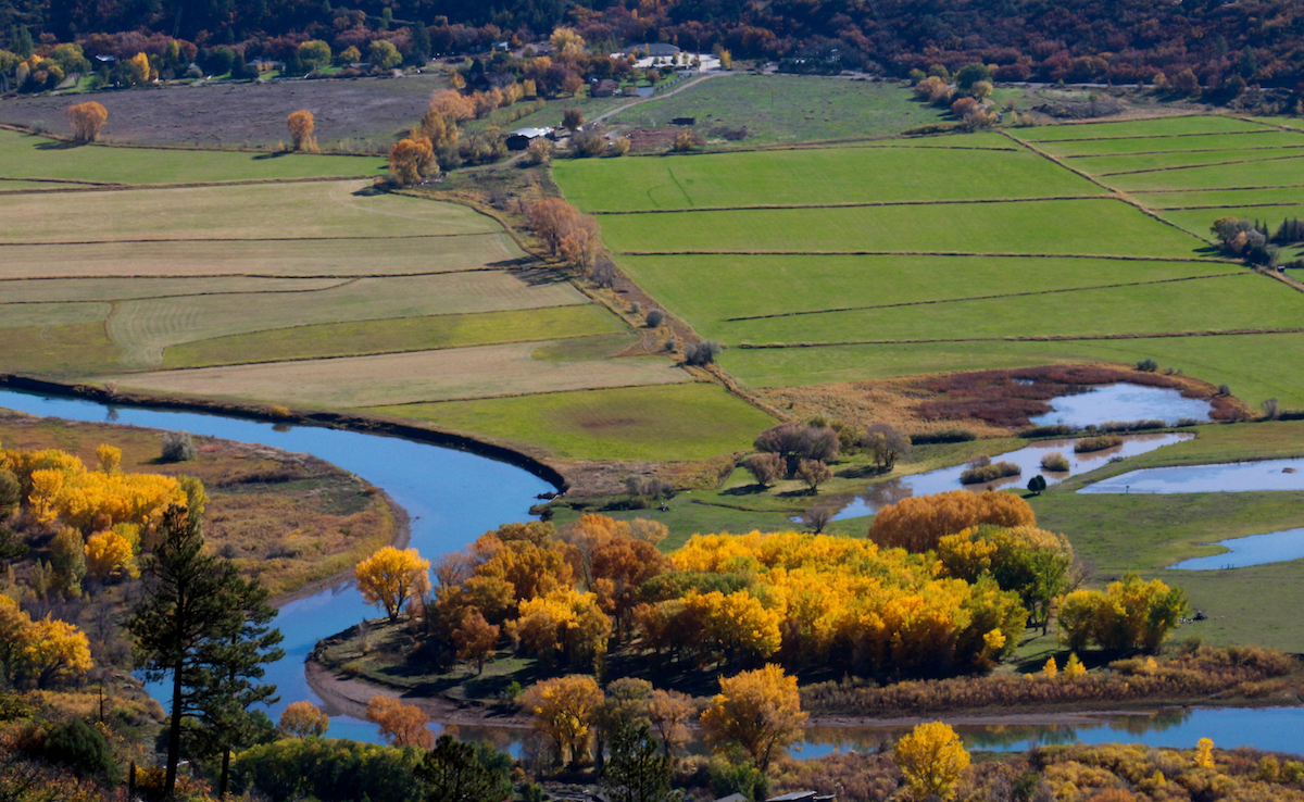 Hiring Now: Working Lands Engineers for Southeastern Aquatic Connectivity
